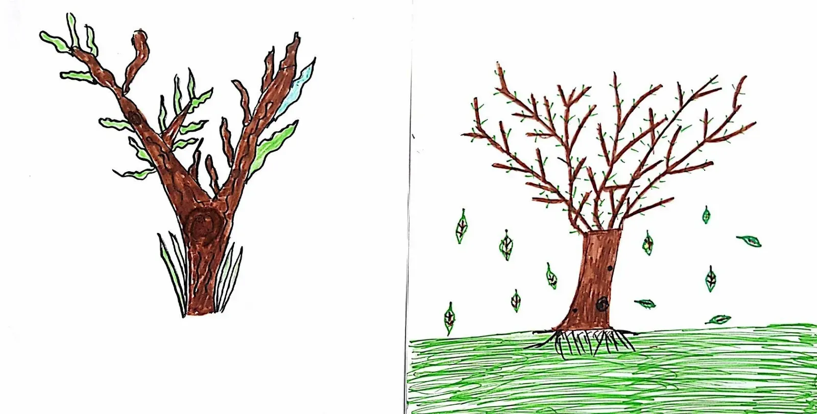 Gambar Pohon Psikotes (Tes Baum): Contoh, Cara & Tips Mengerjakan