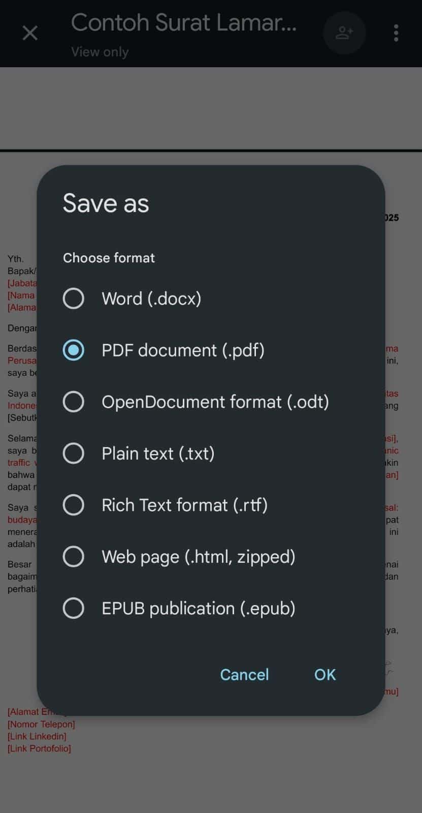 gdocs 4.jpeg