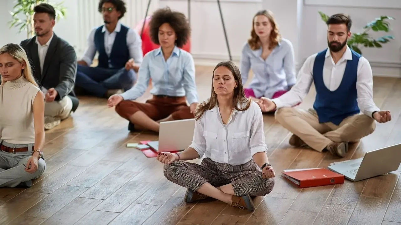 Program Wellness