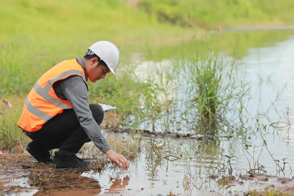 15 Prospek Kerja Ilmu Lingkungan: Cek Gaji, Skill, & Peluangnya!