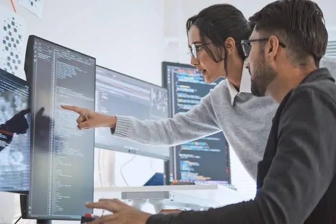 Software Engineer / Software Developer