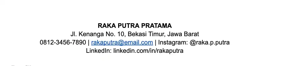 Contoh Penulisan Informasi Kontak dan Profil Profesional CV