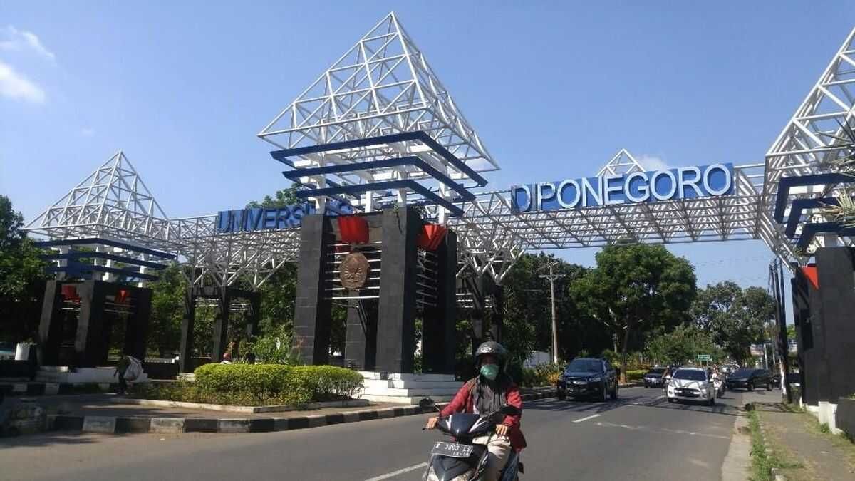 jalur mandiri undip.jpeg