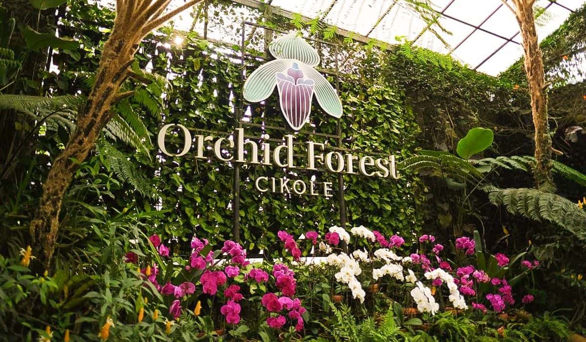 orchid forest cikole