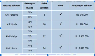 tabel tunjangan jabatan fungsional pppk.webp