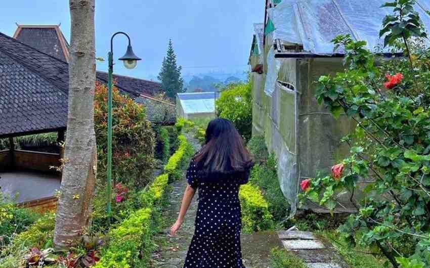 Wisata Agro Inkarla I Sumber: Tribun Travel