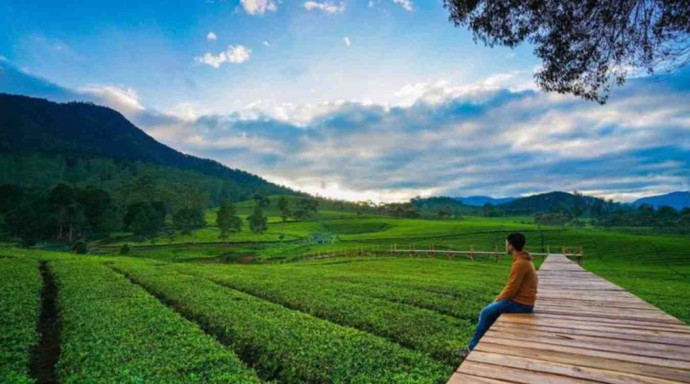 Taman Riung Gunung Puncak I Sumber: Kabar Singaparna