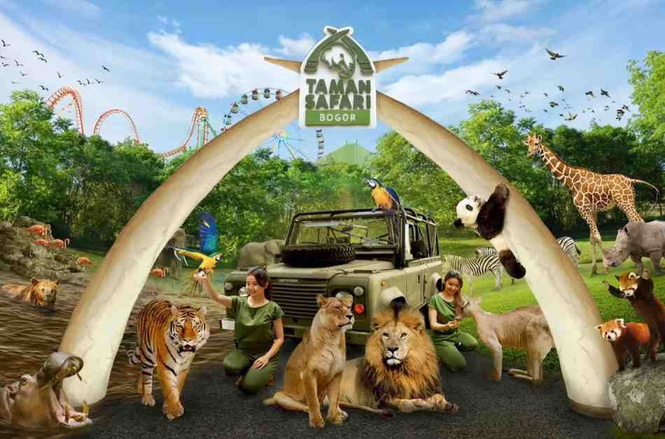 Taman Safari Indonesia I Sumber: Taman Safari Indonesia